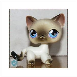 2004  LPS - LITTLEST PET SHOP - SIAMESE blue eyed cat - kitten - Toffey's Treasure Chest
