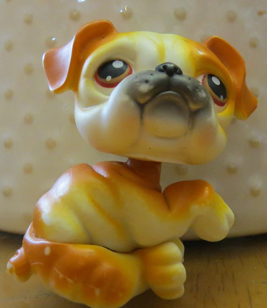 2004 LPS - LITTLEST PET SHOP - bulldog /orange/red eyes