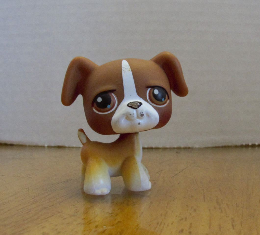 2004 LPS - LITTLEST PET SHOP  BOXER PUPPY DOG - brown eyes