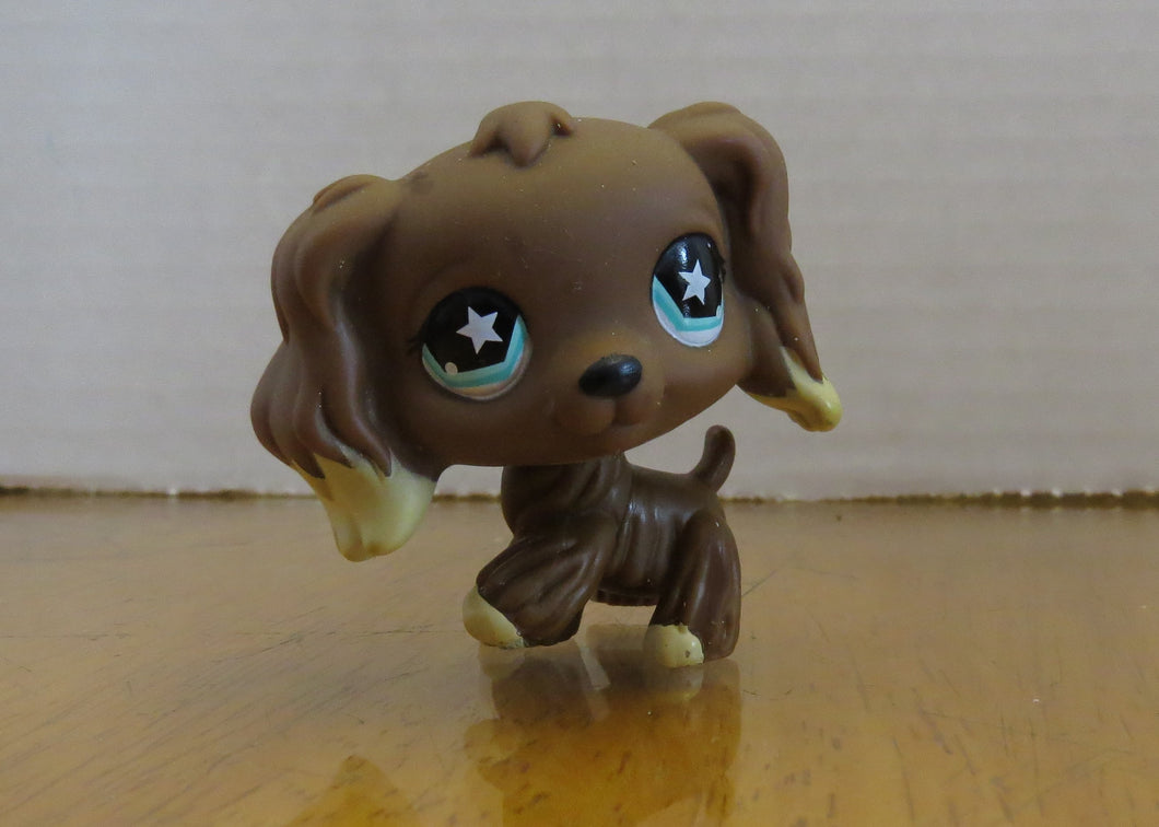 RARE 2006 LPS - LITTLEST PET SHOP -  BROWN COCKER dog - BLUE eyes