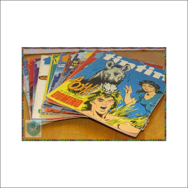 Lot De 13 - Journal Hebdo - Tintin - 28 Année - French / Français - Book