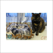 Reversible cat and dog bed - 17X15 - Coussin / lit réversible pour chat et chien - our furry friends