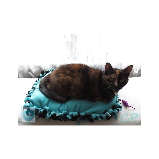Reversible cat and dog bed - 18X13 - Coussin / lit réversible pour chat et chien - our furry friends