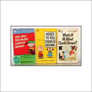 Vintage Shultz - Peanuts - Charlie Brown - Snoopy - English Book Lot (3) - Book